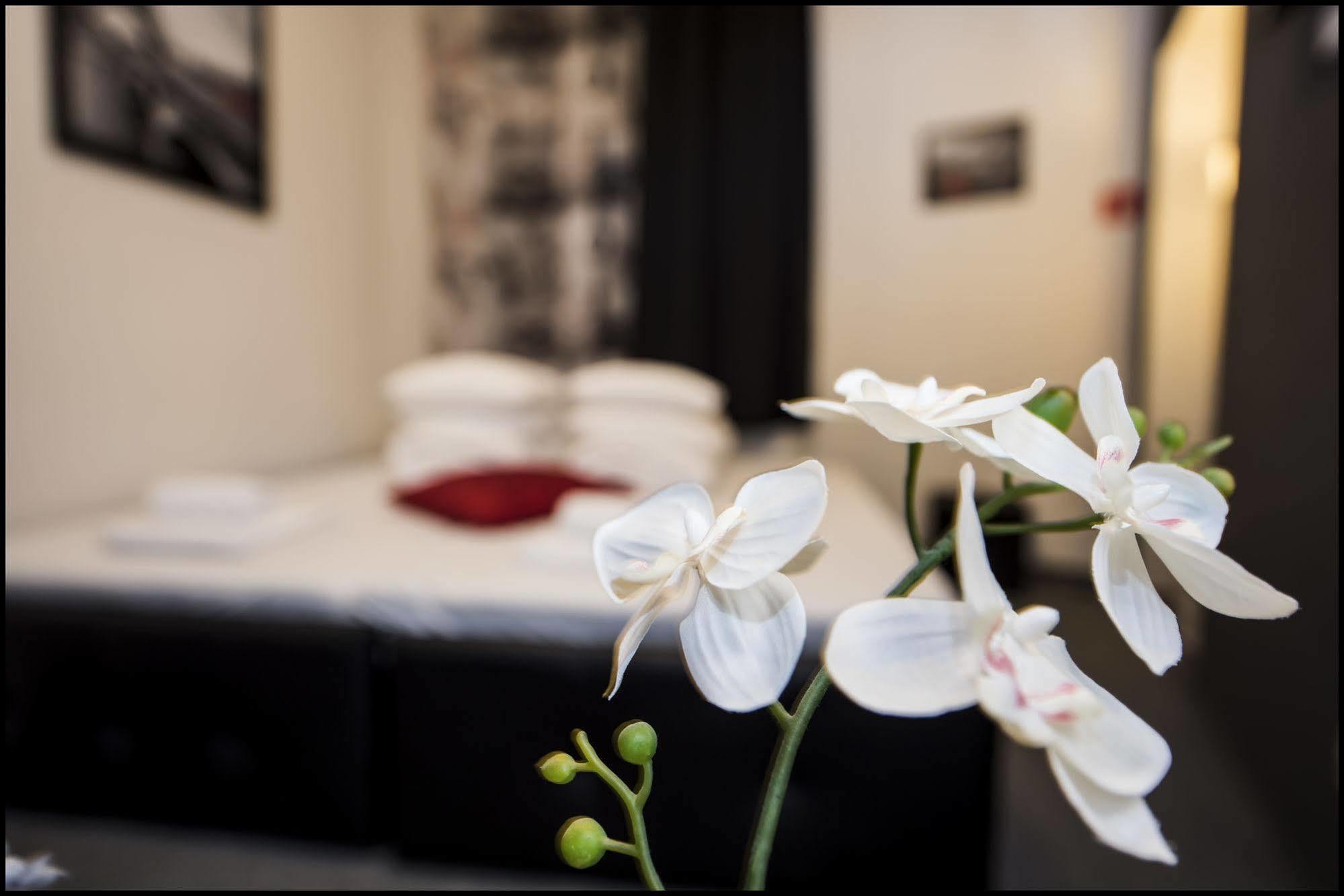 Apartament Z Jacuzzi Krakow Rynek מראה חיצוני תמונה